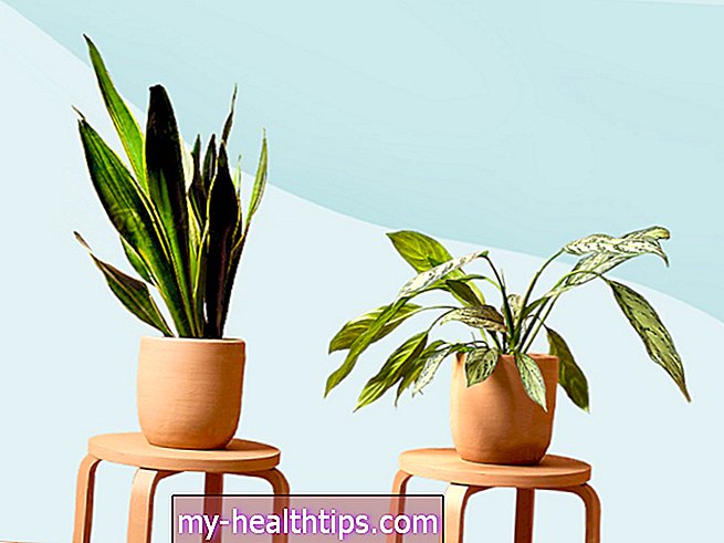 11 Растения с ниска поддръжка за незабравимия тип