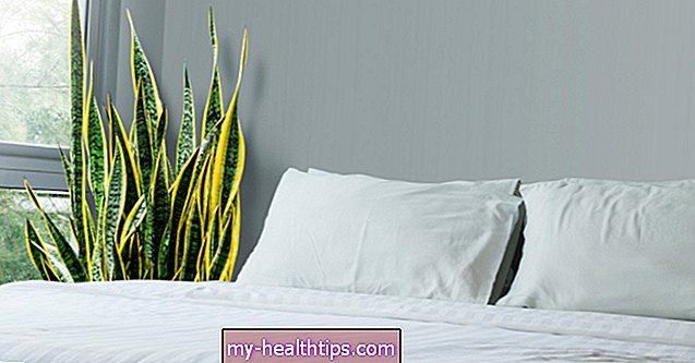 क्या सांप का पौधा आपके घर में वायु की गुणवत्ता में सुधार कर सकता है?