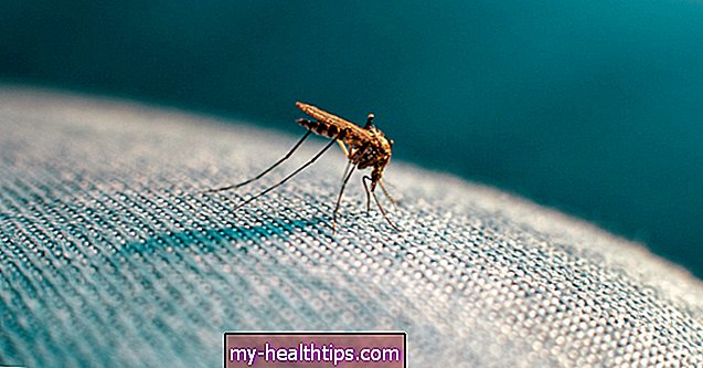 Haraphatnak-e a szúnyogok a ruházaton keresztül?
