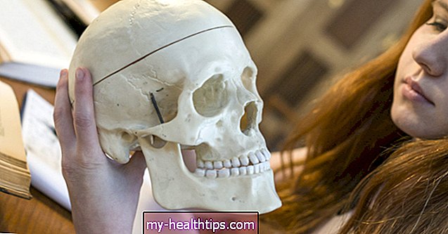 Cranial Bones Oversigt