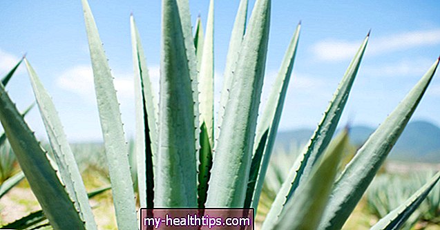 Az Aloe Vera használata a bőr gyulladásán segít vagy fáj?