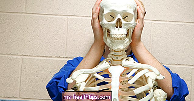 Pregled ravnih kostiju