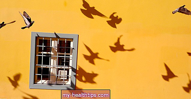 ऑर्निथोफोबिया: पक्षियों के डर के बारे में आपको क्या जानना चाहिए