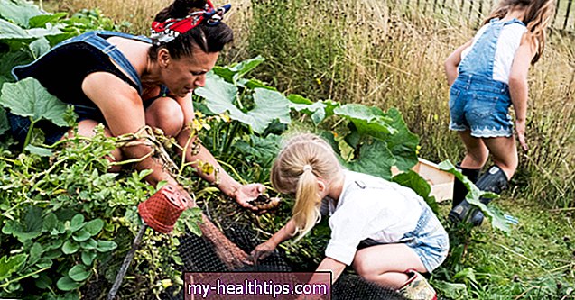 Семена, почва и слънце: Откриване на много полезни ползи от градинарството