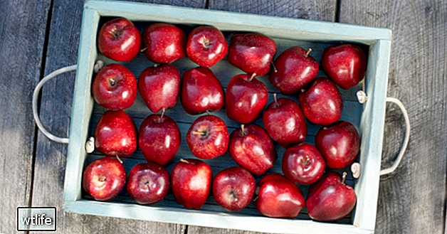 Ябълки 101: Хранителни факти и ползи за здравето