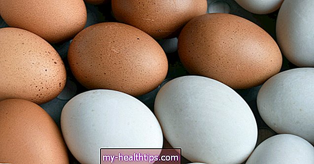 Патешки яйца срещу пилешки яйца: Хранене, ползи и др