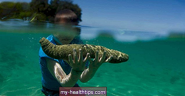 Морска краставица: необичайна храна със здравословни ползи