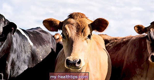 Какво представлява говеждият колаген и има ли ползи?